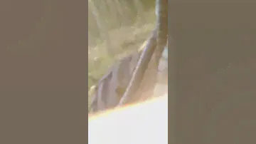 Течь гидроцилиндра подъёма